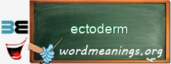 WordMeaning blackboard for ectoderm